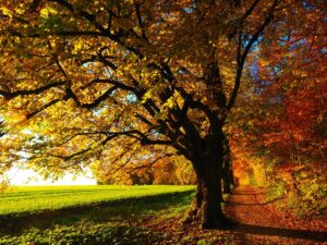 Herbstferien
